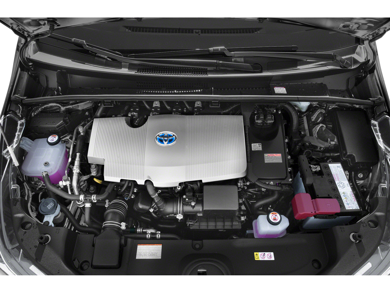 2019 Toyota Prius 4DR CAR