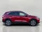 2021 Ford Escape SEL AWD