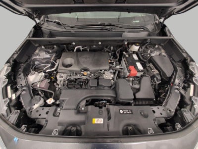 2025 Toyota RAV4 LE AWD (Natl)