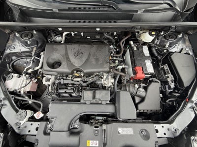 2025 Toyota RAV4 XLE AWD (Natl)