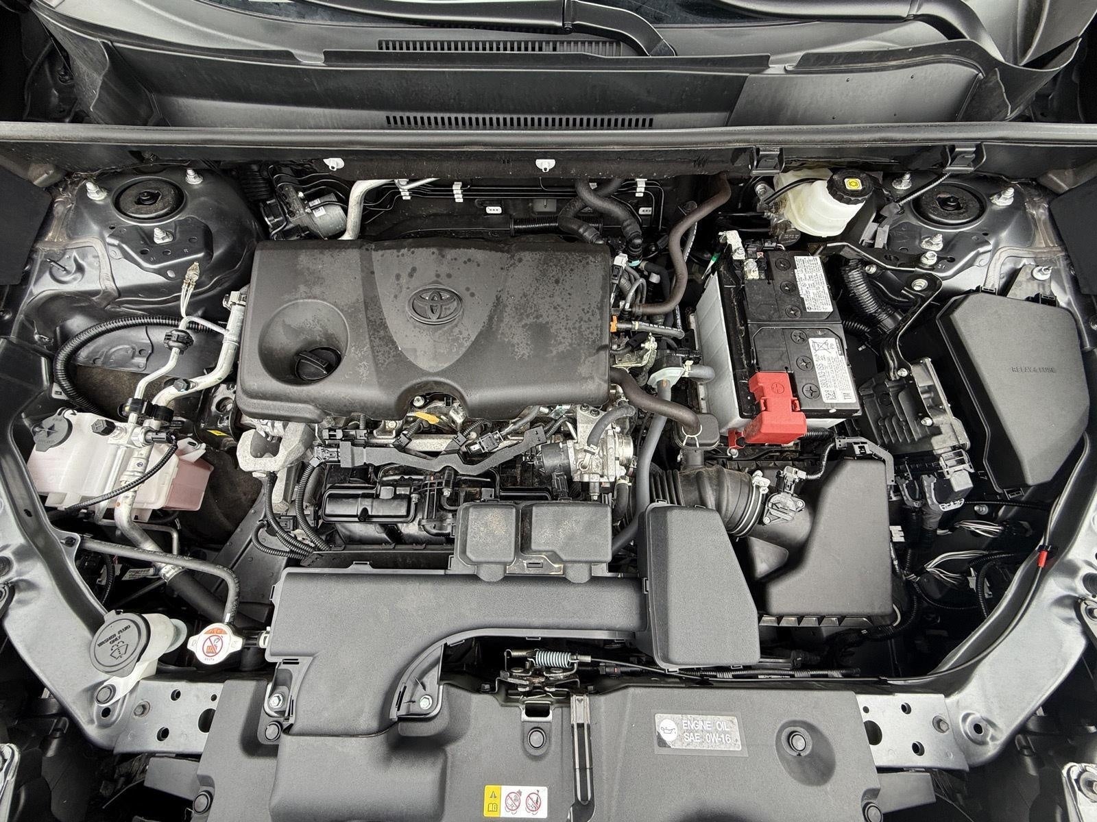 2025 Toyota RAV4 XLE AWD (Natl)