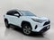 2025 Toyota RAV4 XLE AWD (Natl)