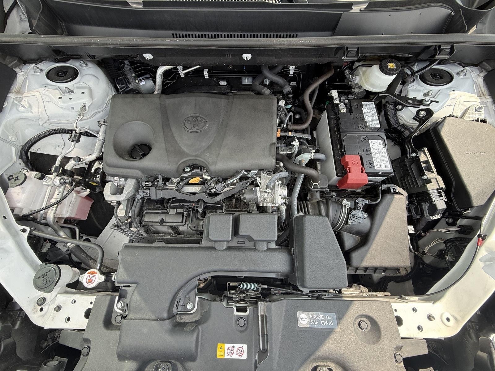 2025 Toyota RAV4 XLE AWD (Natl)